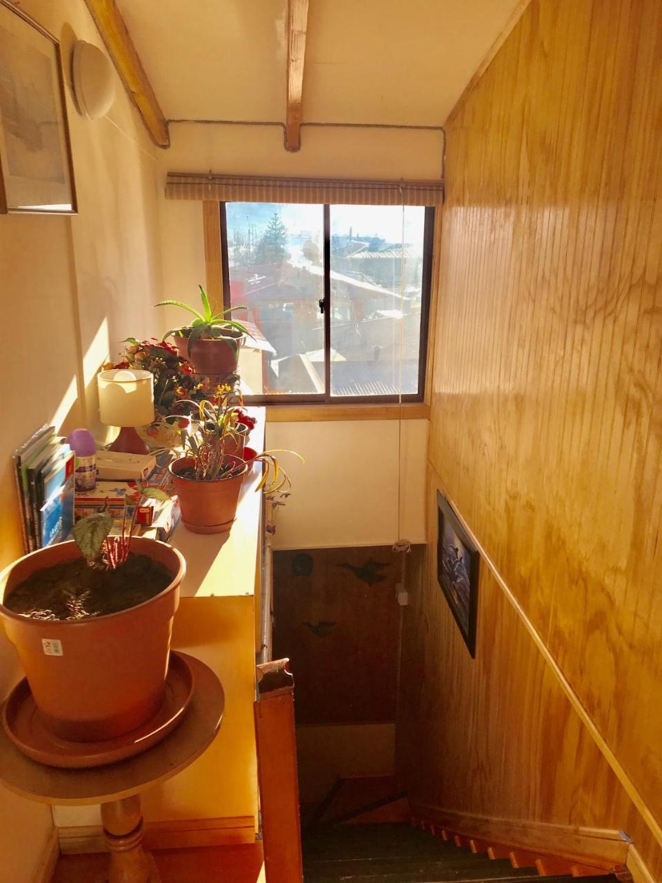Hostal Patagonia Marmol Coyhaique Exterior photo
